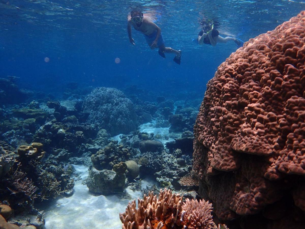 Blue Coral Homestay Karimunjawa Εξωτερικό φωτογραφία