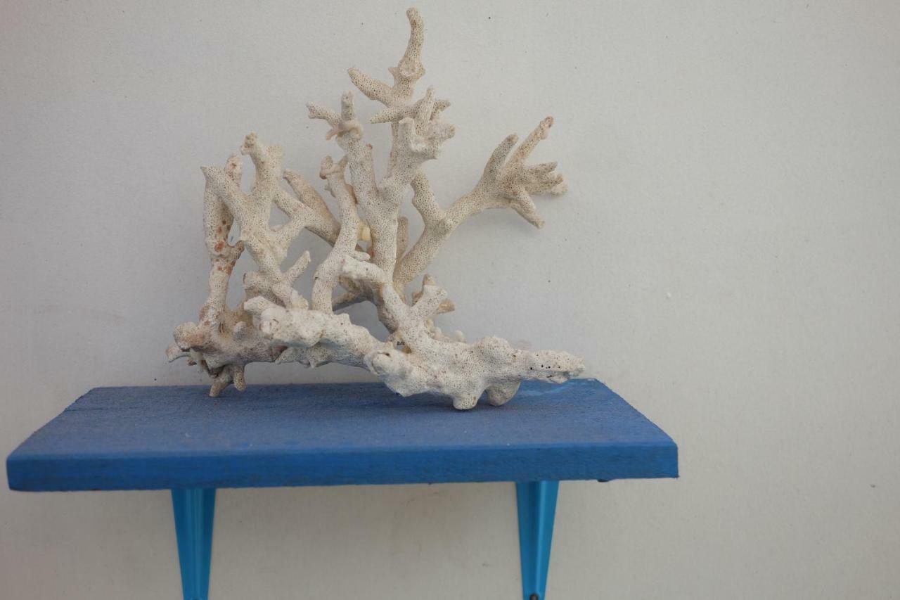 Blue Coral Homestay Karimunjawa Εξωτερικό φωτογραφία